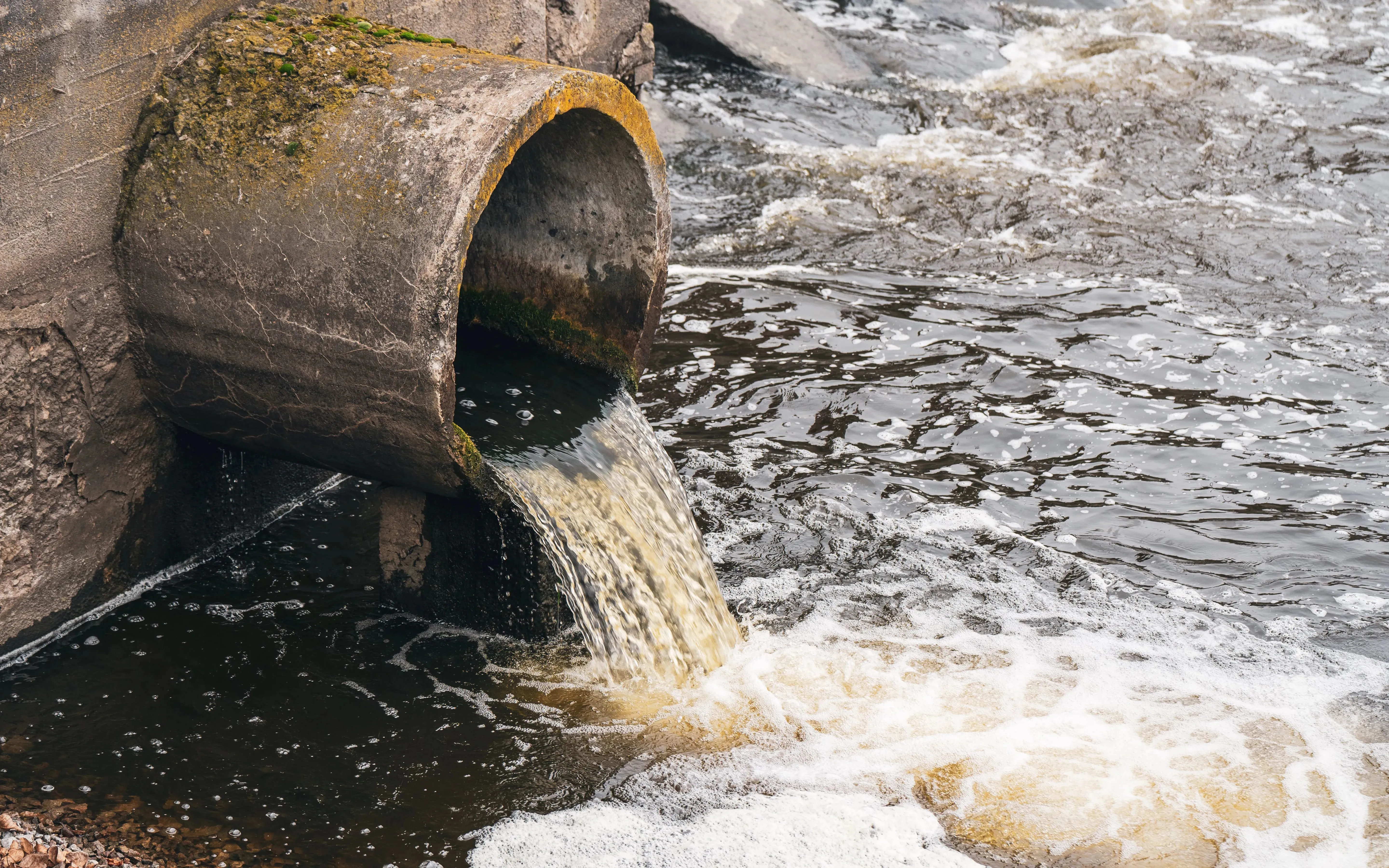 Industrial agriculture generates a huge amount of chemicals that are dumped into rivers and harm the population's resources.