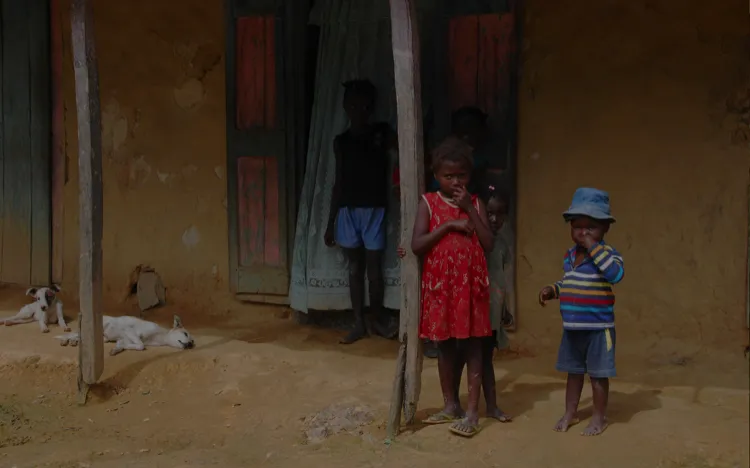 The houses in Haiti are very precarious and unmanageable for earthquakes.