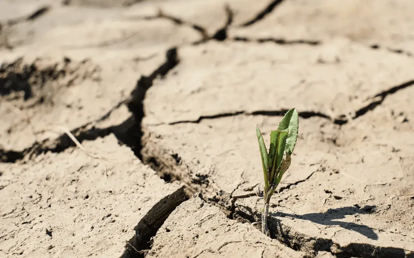 The EC’s public consultation process hides, according to the organizations, an attempt to erode environmental laws, regulations, and requirements.
