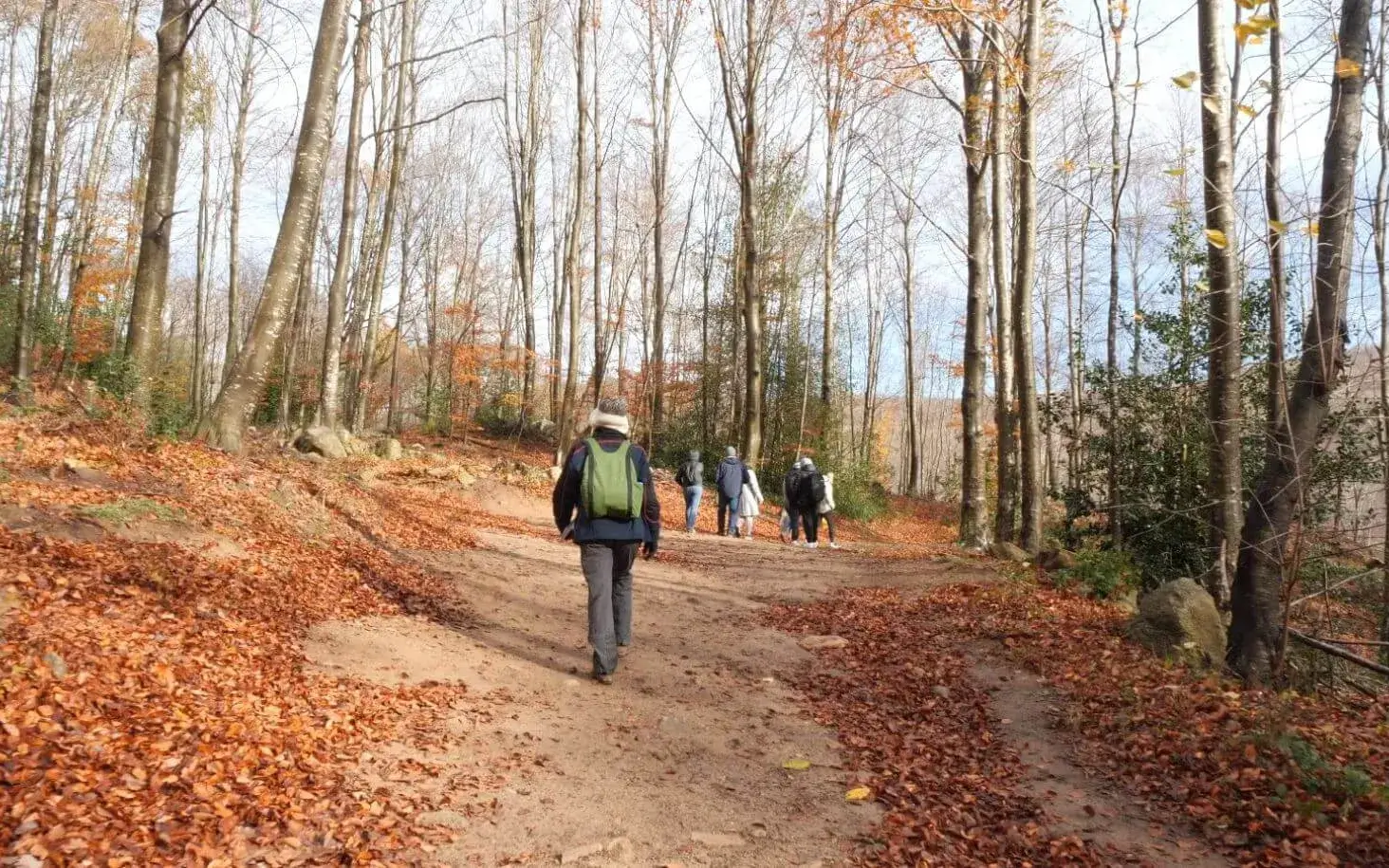 Eva Colomina. Fundació Emys.