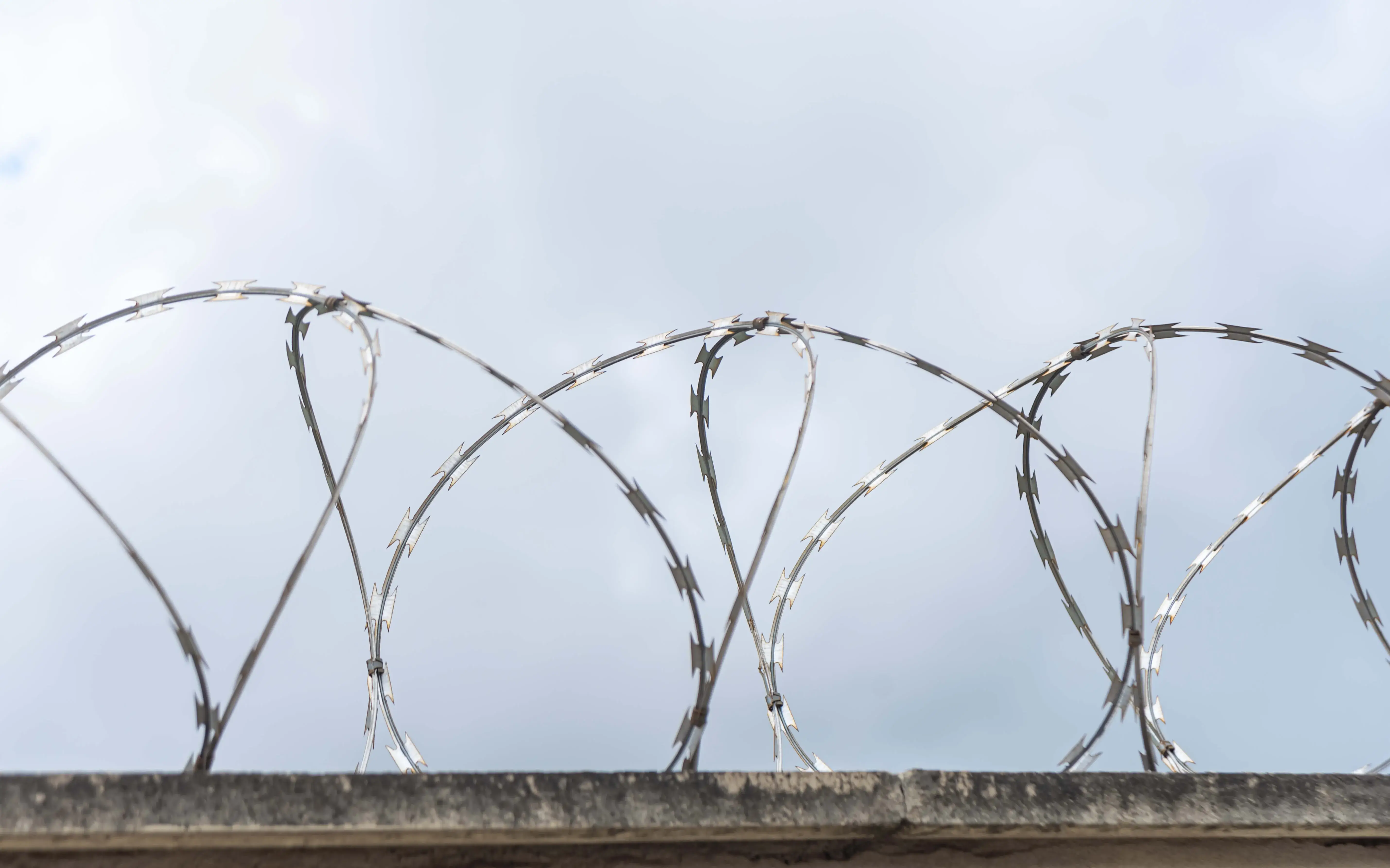 The report warns that the digitalisation of border control in Europe is consolidating an opaque, privatised and weakly democratic system.