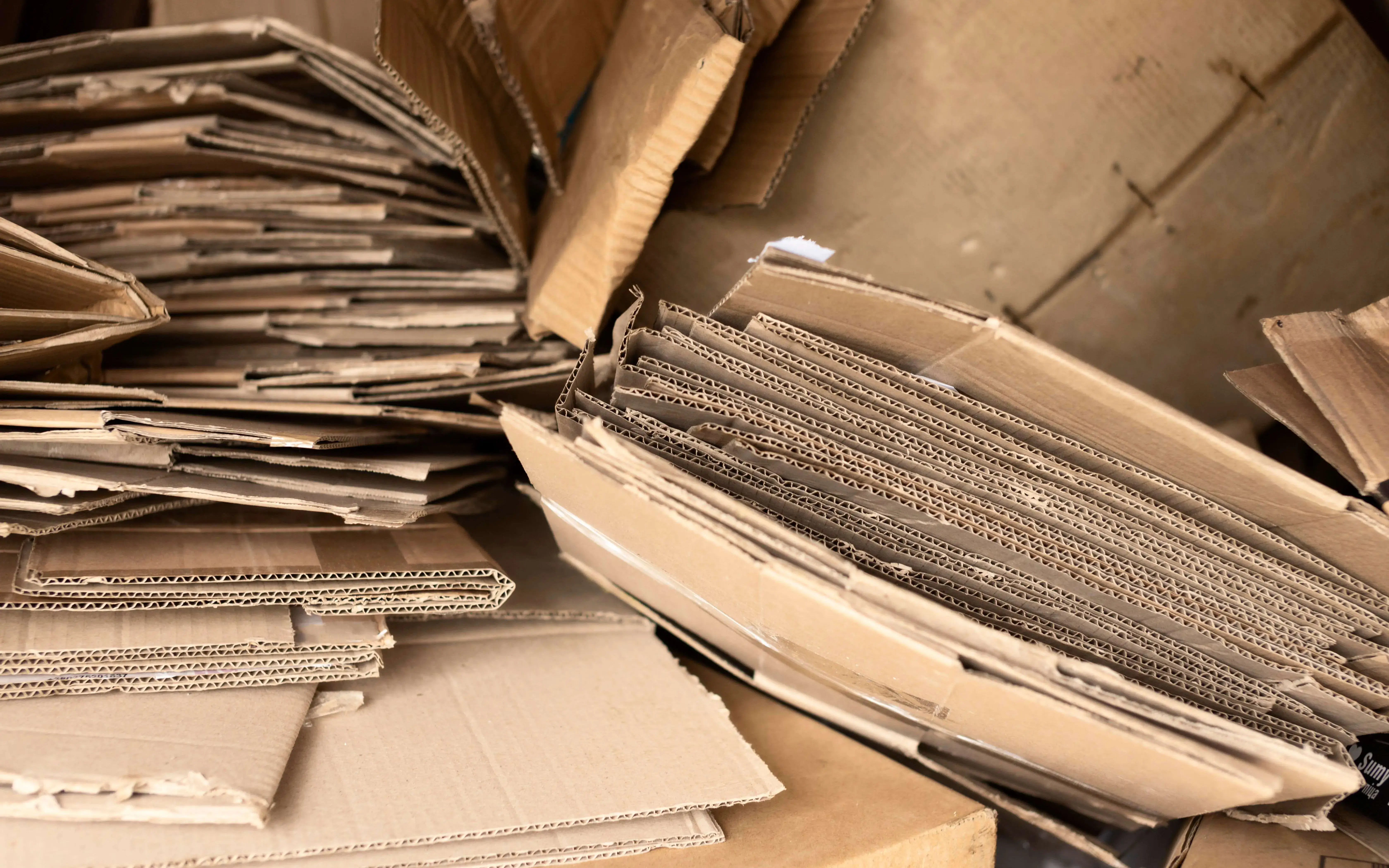 Rezero is promoting a shared roadmap to reduce overpackaging and expand reuse.