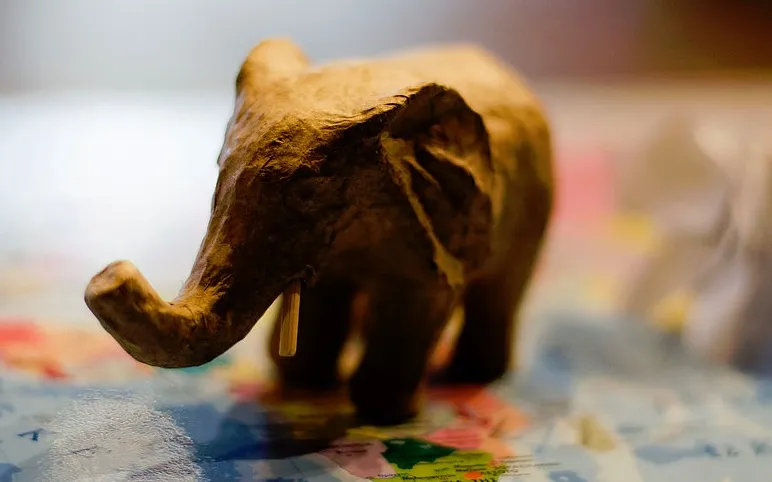 elefant.jpg