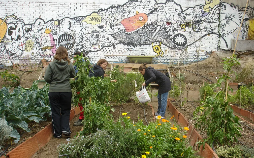 Community garden in Madrid / Photograph: Huerta Agroecológica Comunitaria "Cantarranas", Flickr