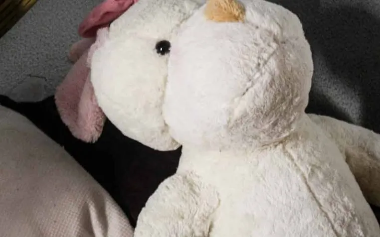 Teddy bear. Photo: Save the Children