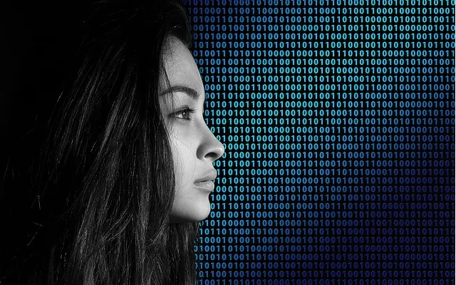 Gender continues to be a factor in the digital gap, especially in impoverished countries, and liked to the level of income. Photo: geralt (Pixabay)
