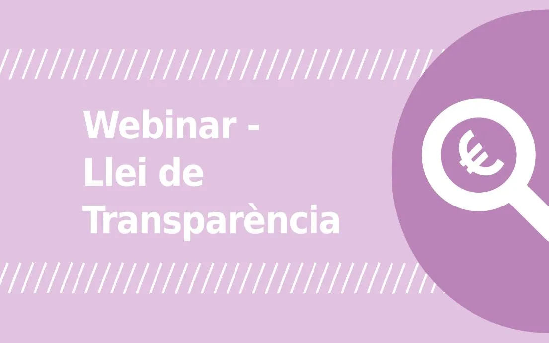 Image from a Xarxanet webinar. Photo: Associació per a Joves TEB