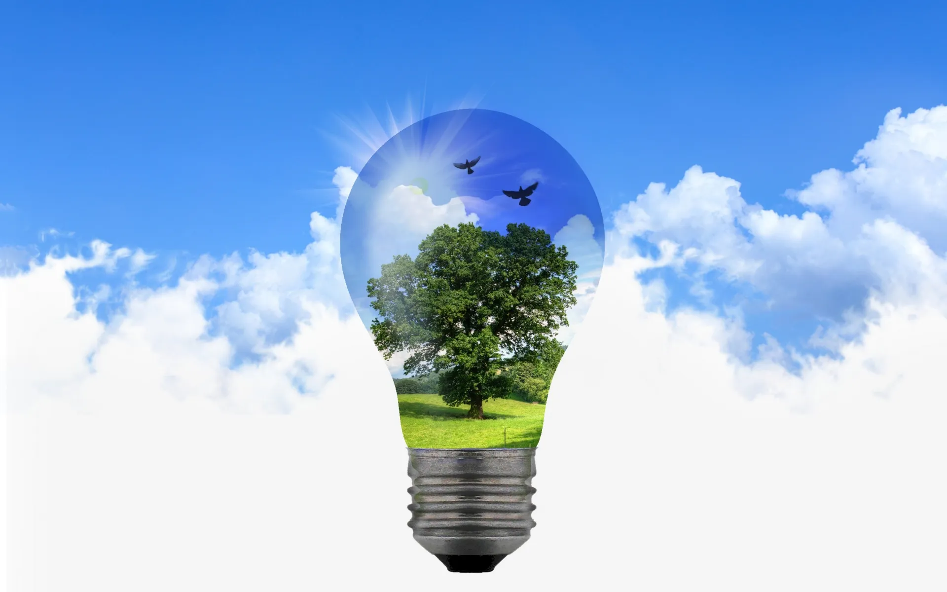 The aim of the project is people sharing different ideas. Image: Public Domain Pictures