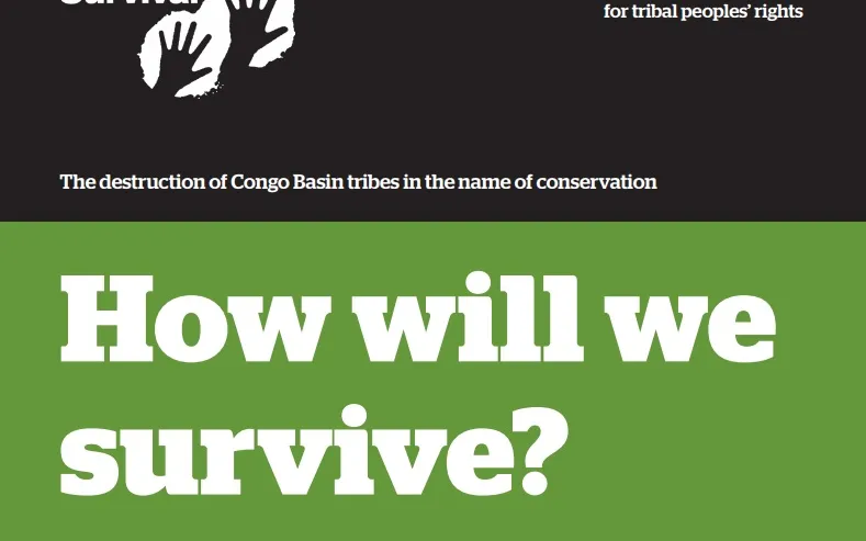 "How will we survive?" report. Image: Survival International