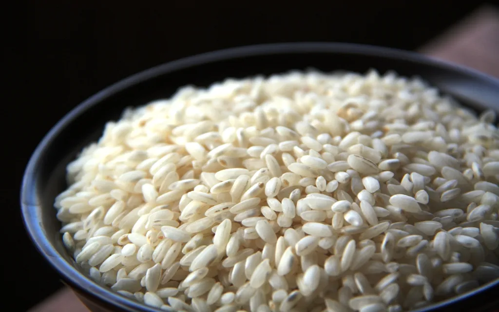 rice2.jpg