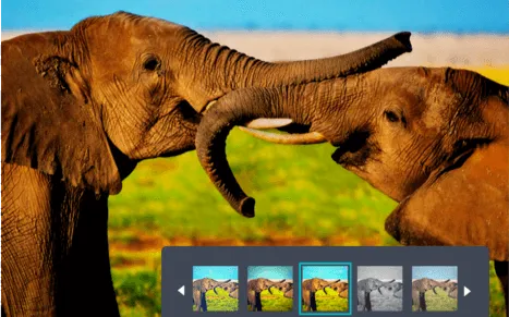 Canva is a good graphic design tool for nonprofits