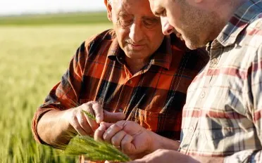 In Ireland and the Aran Islands, farmers are committed with the nature conservation.  Source: ELCN