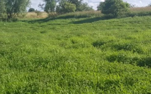 In Germany, companies like iaealo.de have purchased lands to turn them into nature reserves. Source: ELCN