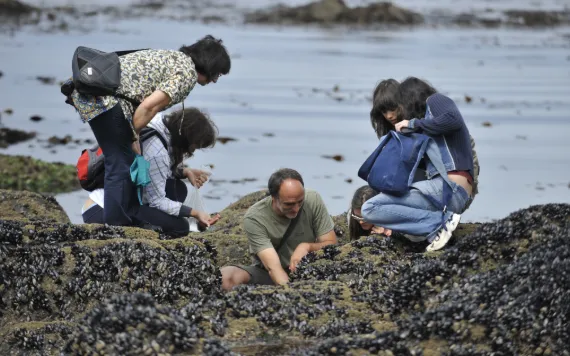 Viana Do Castelo is situated in an area in which there is a rich diversity of ecosystems.  Source: CMIA Viana do Castelo