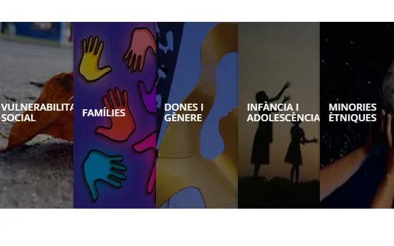 Vincle's work and activities