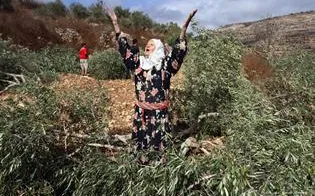 Palestinian woman cries after Israeli soldiers destroyed her land