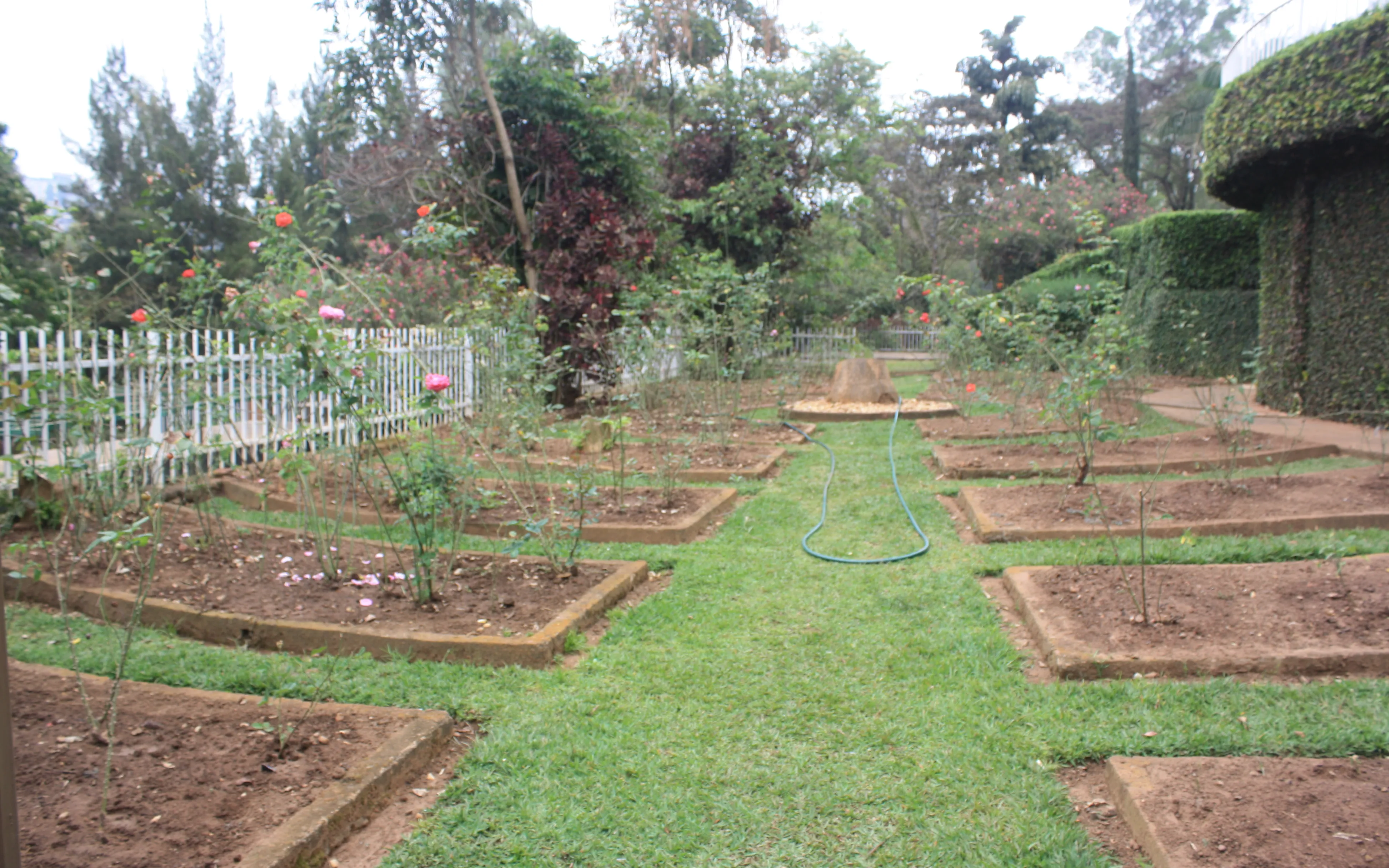 Graves in the Kigali Genocide Memorial