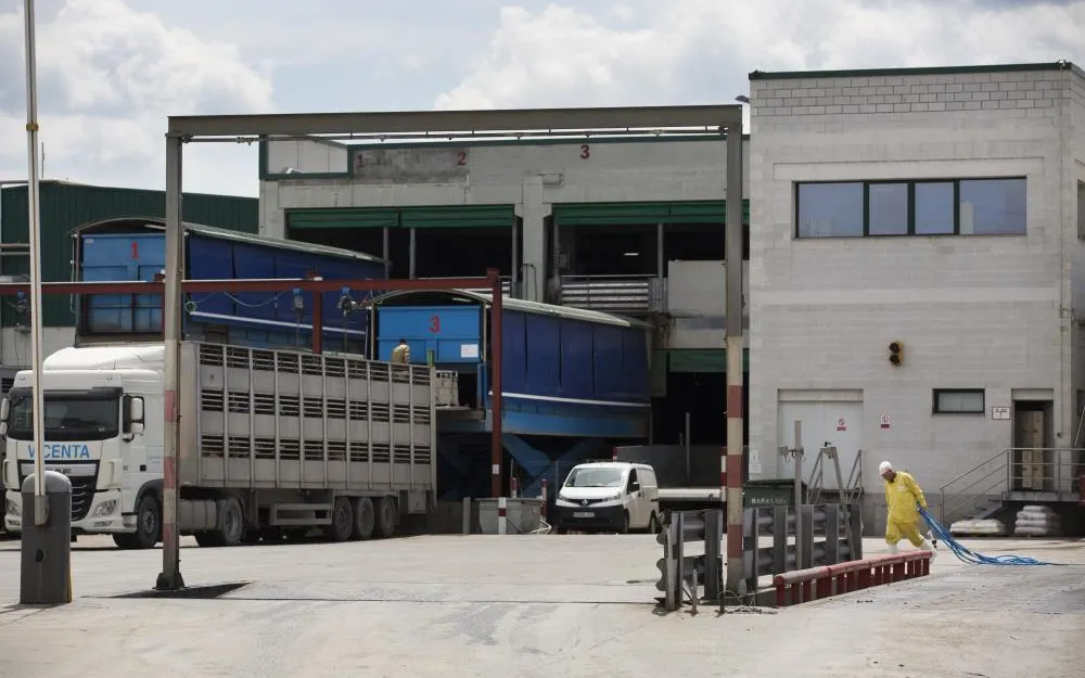 Meat factory in Catalonia. Diari Jornada