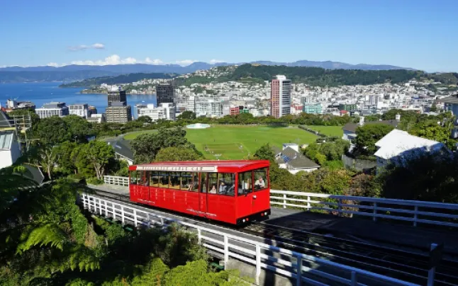 wellington.png