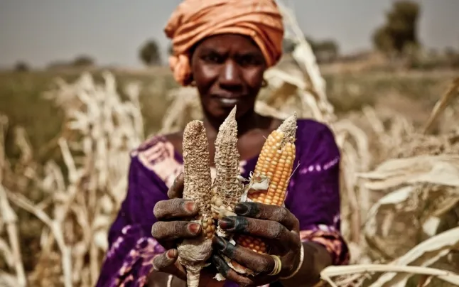 Food Emergency in Africa and Yemen.