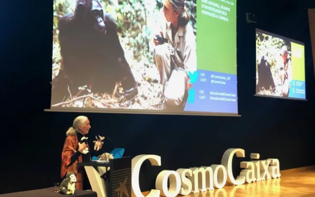 The renowned scientist and activist gave a conference in Barcelona titled 'Jane Goodall, 58 years of investigation and conservation of chimpanzees in Africa'.