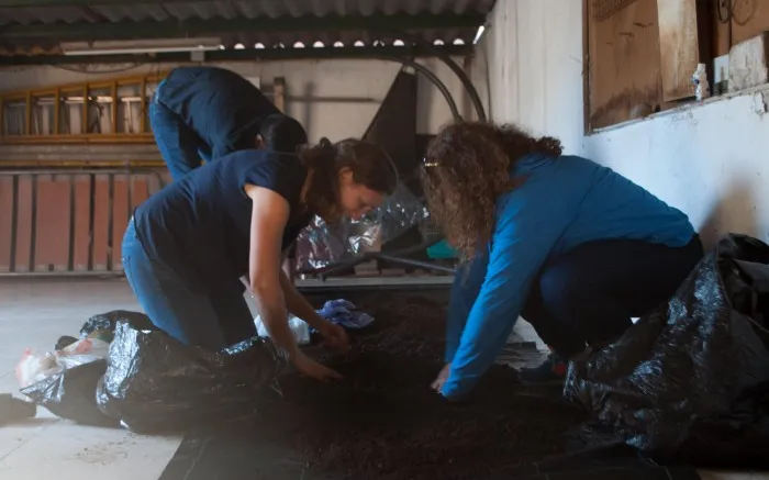 'Up Energía' is a pioneering project in Catalonia and in the rest of Spain.