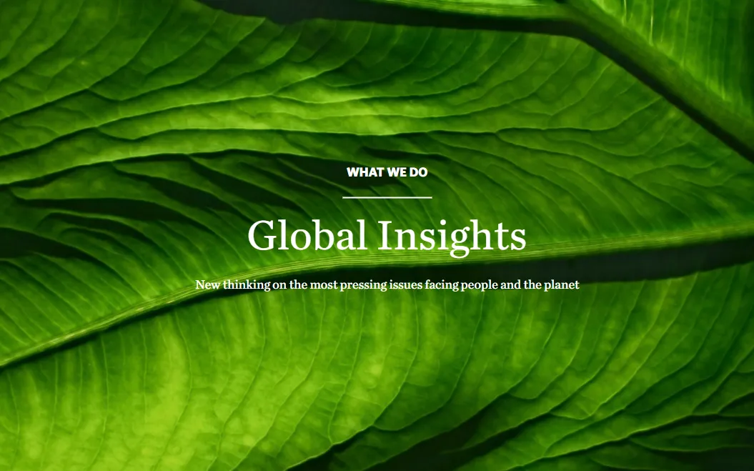 The NGO considers that there is still time to achieve a sustainable future for the world.   Source: The Nature Conservancy