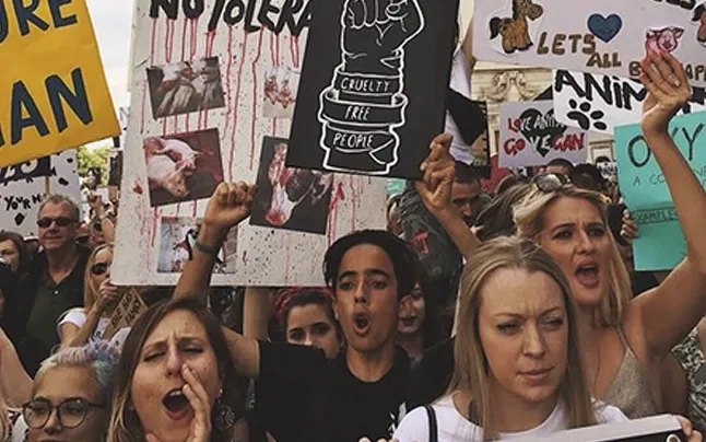 Action for Liberation's protests. Source: Action for Liberation