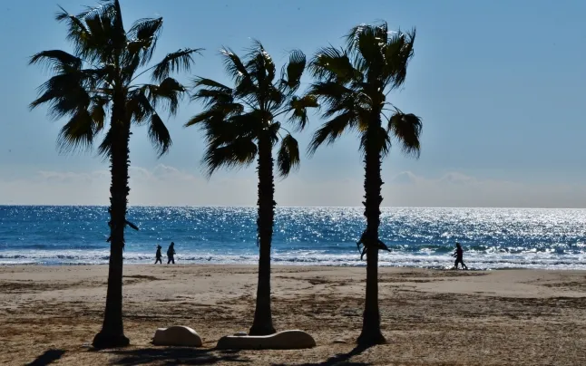 platja_de_ribes_roges_vilanova_i_la_geltru_-_8.jpg