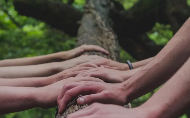 International volunteering can become a key element in developing a new organizational culture.