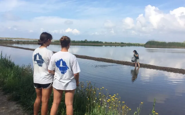 Riet Vell is a natural reserve where rice is also grown ecologically