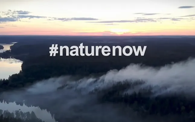 The restoration of ecosystems, a key strategy to fight against climate change.