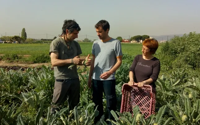 Desos was founded in Sant Boi de Llobregat in 2001.