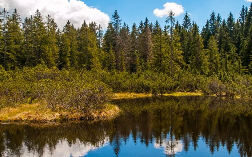 LIFE funds projects under its environment and climate action.