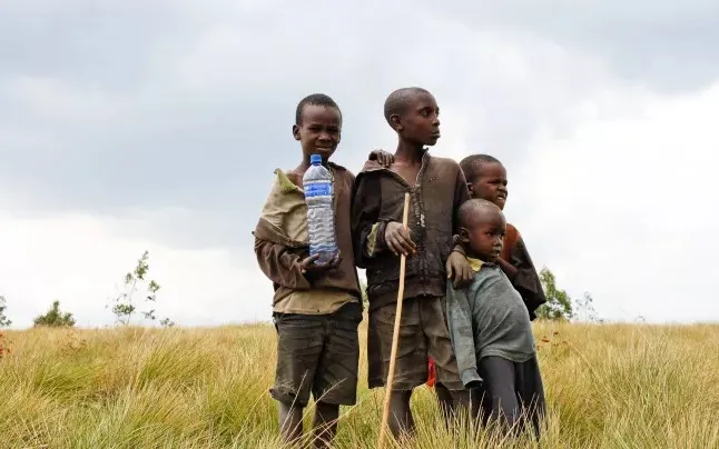 Women and children are the most affected groups. 