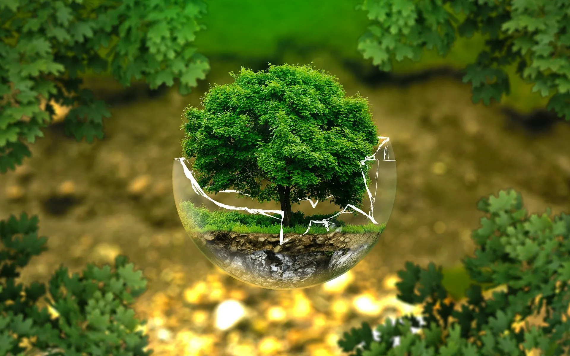 Students from all over the world will work cooperatively to carry out a citizen collaboration project that promotes environmental and social justice.