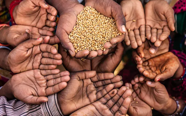 In 2019 it helped fight hunger to 100 million people in 88 countries.
