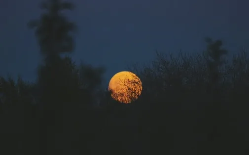 xmoon-circle-round-dark-preview.jpgqitokrbklylxh.pagespeed.ic_.yrquofddoq.jpg