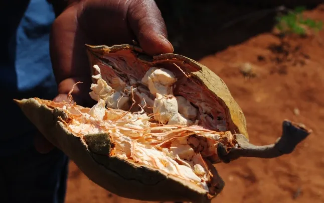 entrepreneurship_in_senegal_3.jpeg