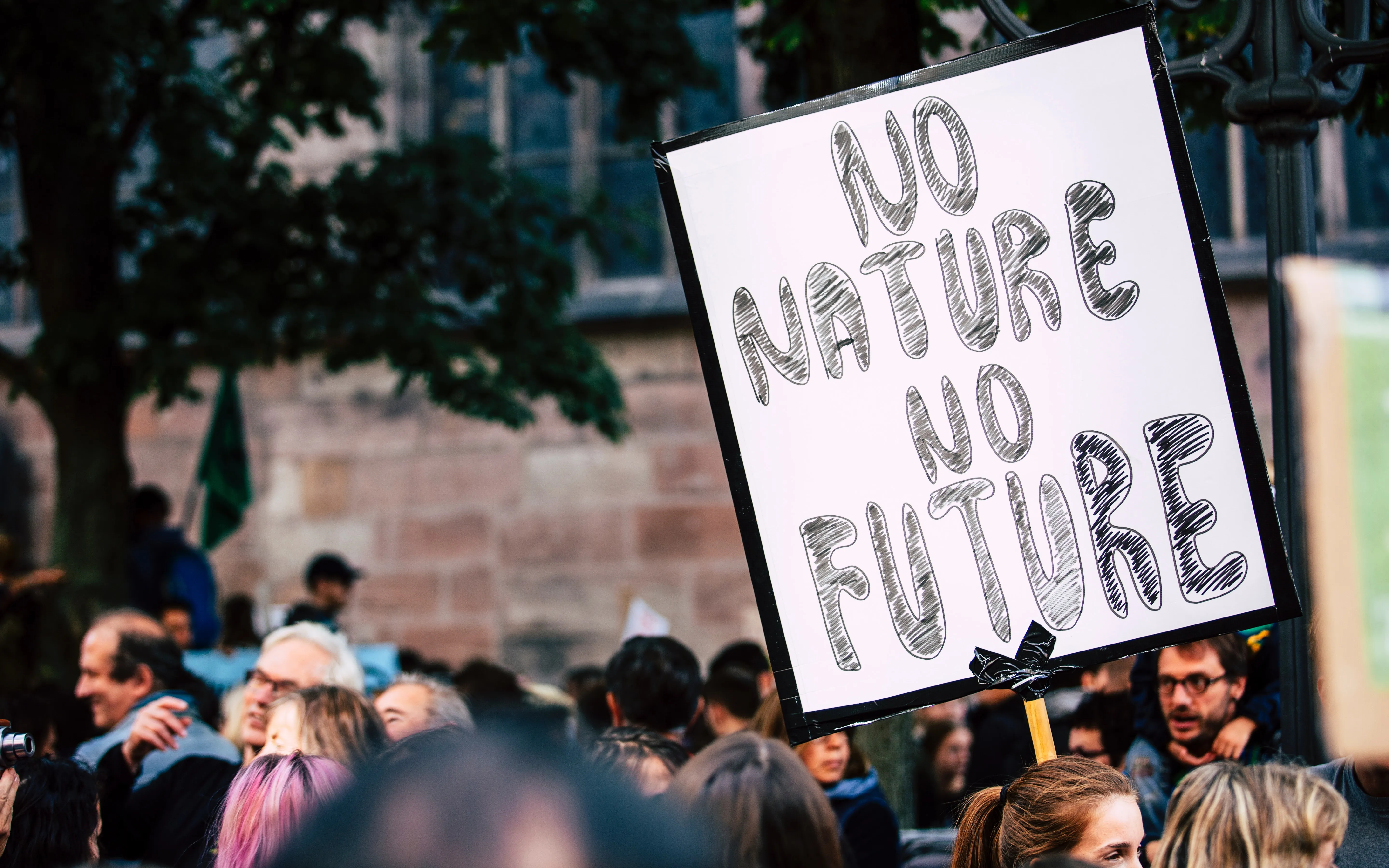 no_nature_no_future.jpg