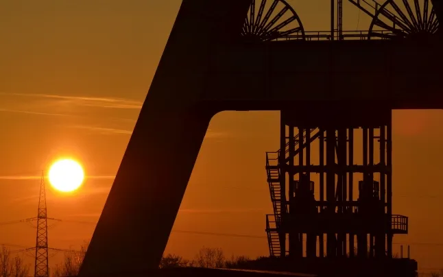 The European Commission is already working on a Community directive to hold companies accountable for their impacts on people and the environment.