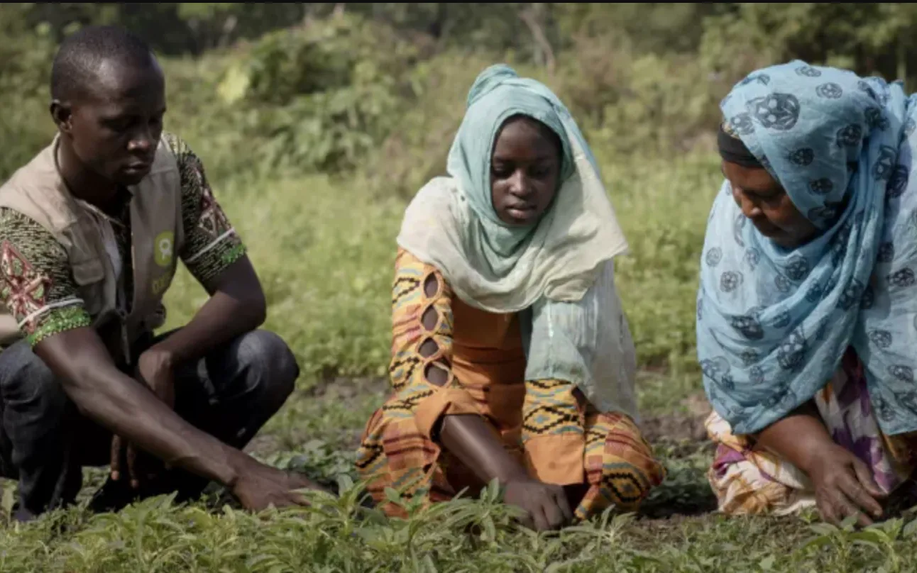  Eight of the ten critical hunger points are affected by high levels of violence and insecurity. 
