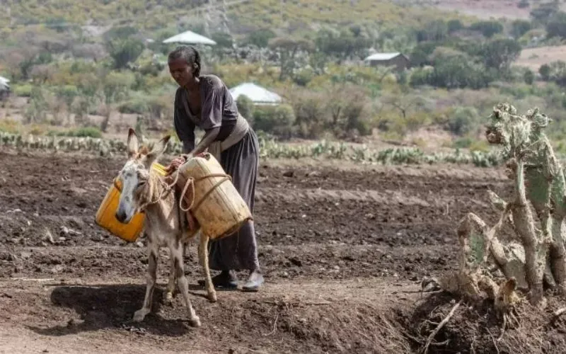 etiopia.jpg