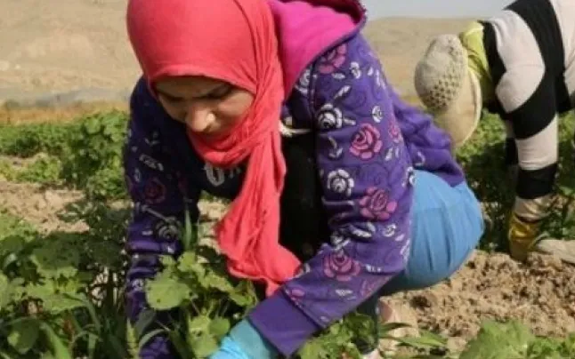 Bloody Basil, by Elia Ghorbiah, is one of the short films that can be seen in Tasharuk.