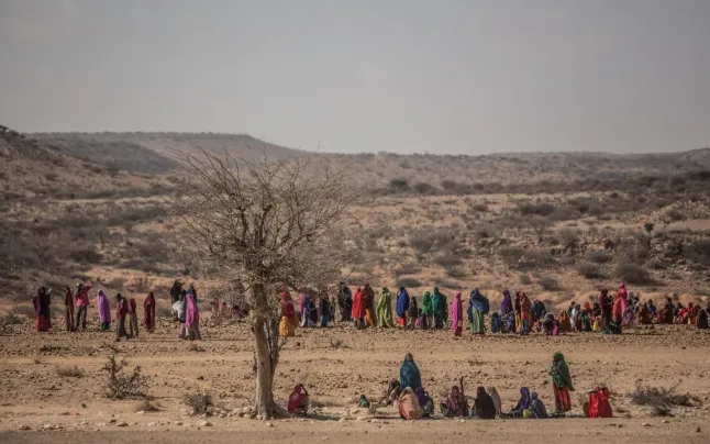 In 2020, about a thousand people risked their lives to enter in the European Union.