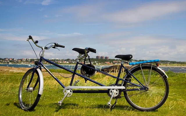 tandem-g0273895ee_640.jpg