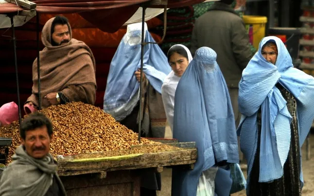 The project provides financial support to 230 households led by women. 