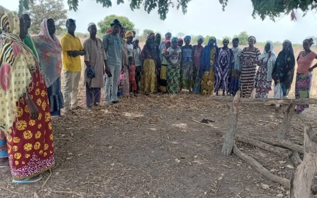 One of the projects in Senegal, in collaboration with Daadeh Fouladou and Voluntariat Blanenc.