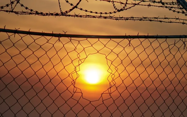 91.4% of the victims of these migratory routes die without their bodies being found or identified.