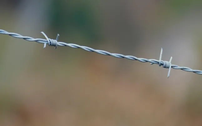 Caminando Fronteras numbers more than 2,300 victims who attempted to enter Spain in 2022.